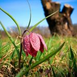 下载工具箱电脑版:提升效率的多功能下载管理软件推荐 0p050